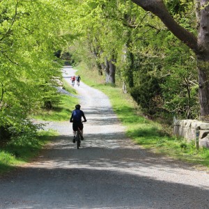 Castlewellan has great facilities for Mountain Biking